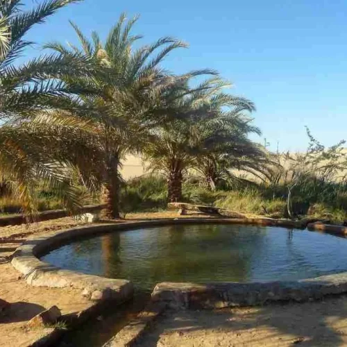 Siwa Oasis Safari Tour | Great Sand Sea Desert Adventure, Sandboarding & Bedouin Dinner